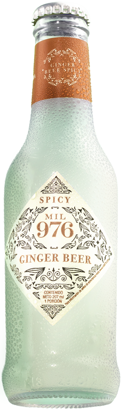 Ginger Beer